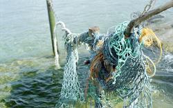 Old Fishing Nets 2006, Lyme Regis