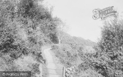 Path To Cliffs 1906, Lyme Regis