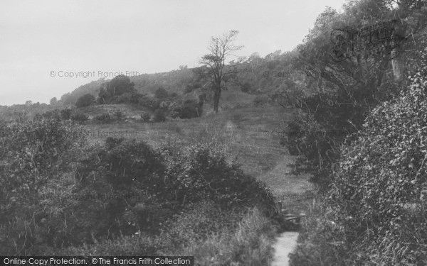 Photo of Lyme Regis, Path To Ware Cliffs 1900