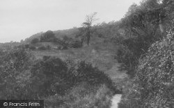 Path To Ware Cliffs 1900, Lyme Regis
