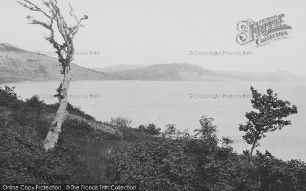 Photo of Lyme Regis, The Bay 1890