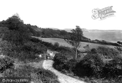 The Cliffs 1906, Lyme Regis