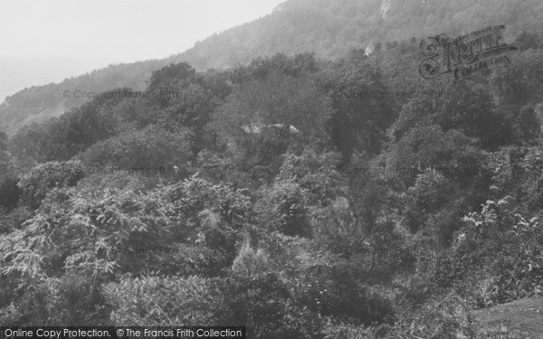 Photo of Lyme Regis, Ware Cliffs And Rock Point 1900