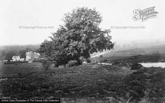 Photo of Lyndhurst, Beaulieu Road 1906