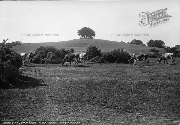 Photo of Lyndhurst, Boltons Bench 1908