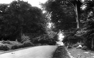 Bournemouth Road 1906, Lyndhurst