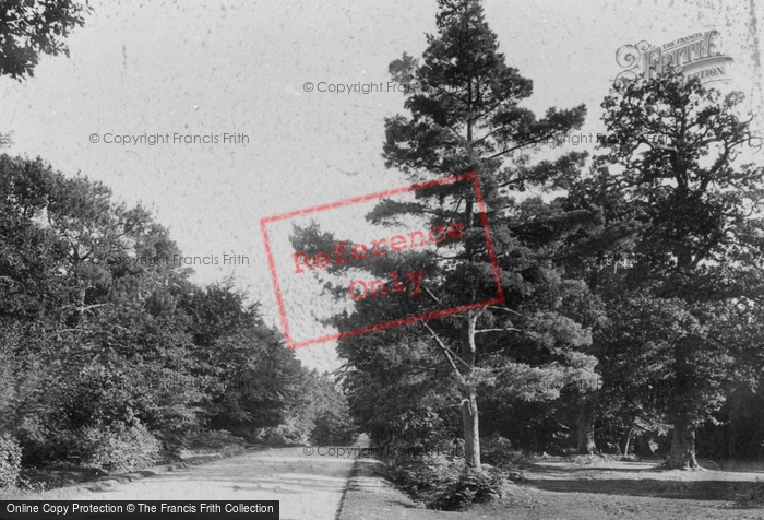 Photo of Lyndhurst, Brockenhurst Road 1908