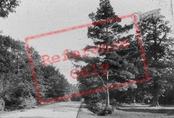 Brockenhurst Road 1908, Lyndhurst
