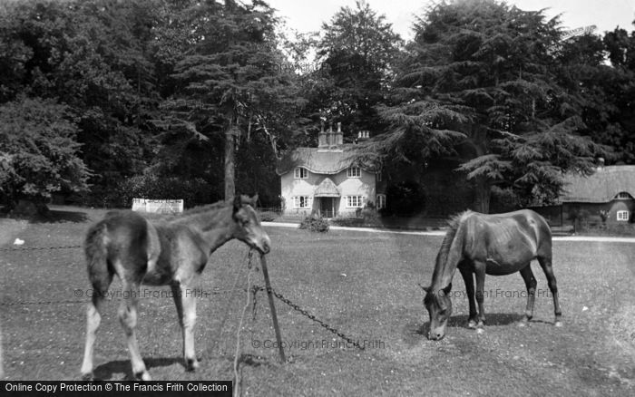 Photo of Lyndhurst, Forest Ponies, Swan Green 1923