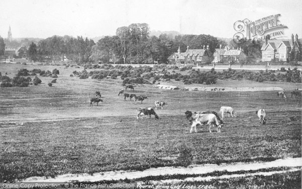 Photo of Lyndhurst, From Golf Links 1900