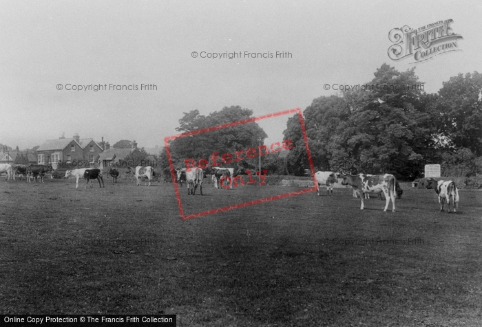 Photo of Lyndhurst, From Golf Links 1906