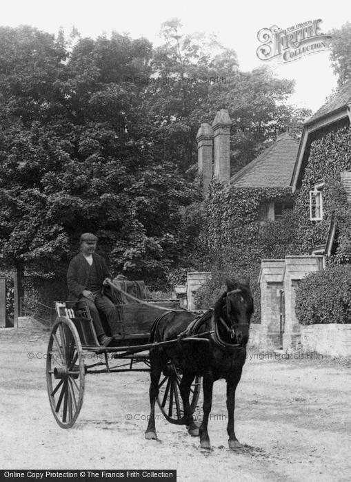 Photo of Lyndhurst, Horse And Trap 1906