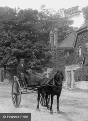 Horse And Trap 1906, Lyndhurst