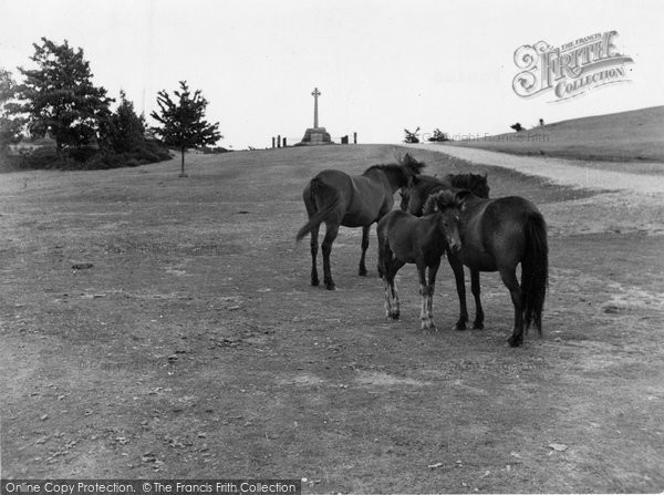 Photo of Lyndhurst, New Forest Ponies c.1955