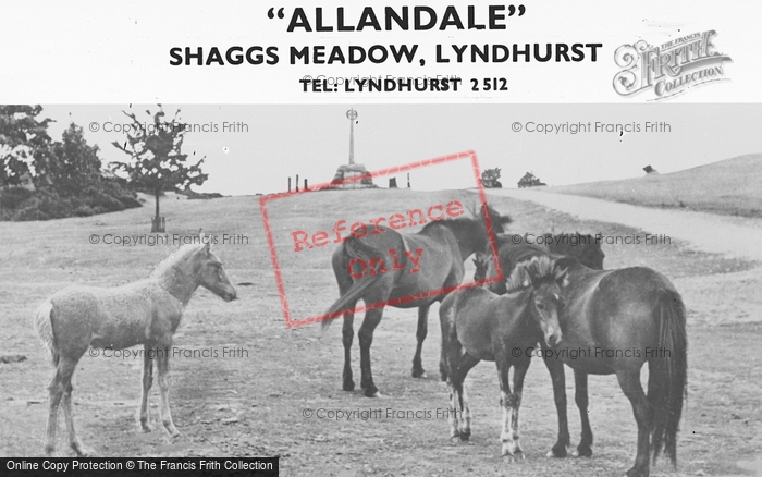 Photo of Lyndhurst, New Forest Ponies c.1955