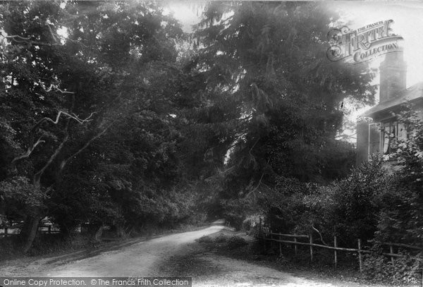 Photo of Lyndhurst, Pinkney Lane 1906