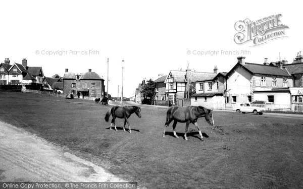 Photo of Lyndhurst, Ponies on the Green, Cadnam Road c1955