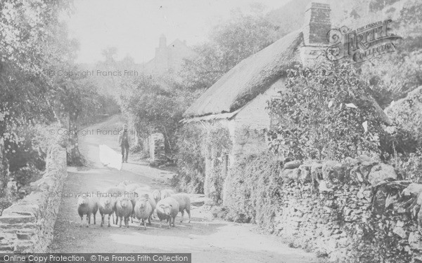 Photo of Lynmouth, A Devonshire Lane, Cherry Bridge c.1880