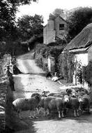 Cherry Bridge 1907, Lynmouth