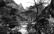Watersmeet, Rustic Bridge 1890, Lynmouth