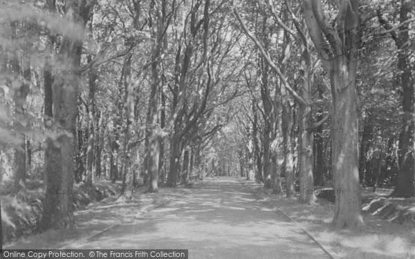 Photo of Lytham, Green Drive c.1955