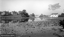 The Pond c.1965, Madeley
