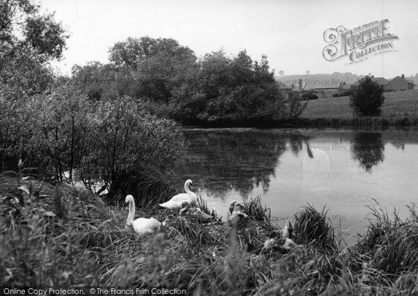 Photo of Madeley, The Village Pond c.1955