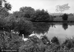 The Village Pond c.1955, Madeley
