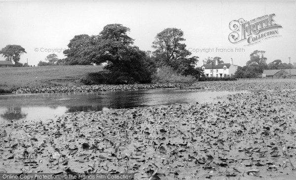 Photo of Madeley, The Village Pond c.1955
