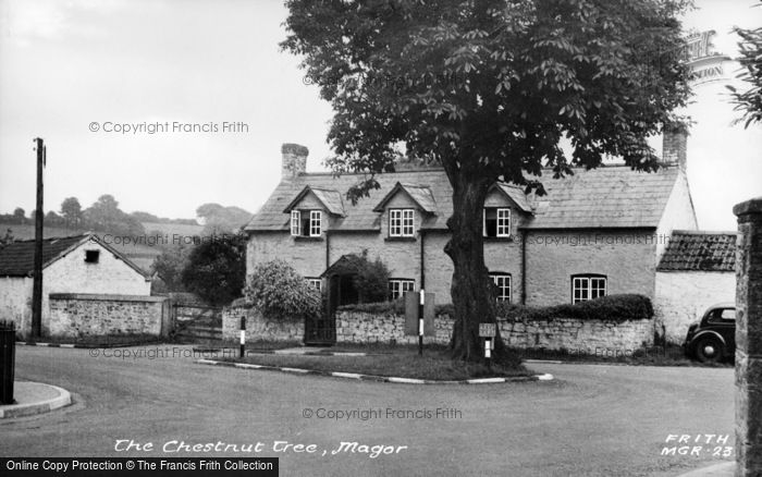 Photo of Magor, The Chestnut Tree c.1955