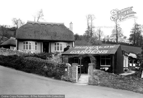 Photo of Maidencombe, Bungalow Tea Gardens c.1955