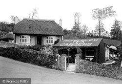 Bungalow Tea Gardens c.1955, Maidencombe