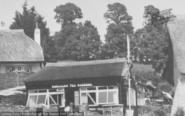 Photo of Maidencombe, Bungalow Tea Gardens Cafe c.1950