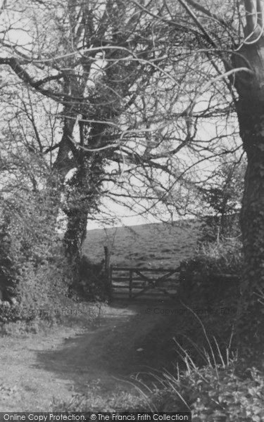 Photo of Maidencombe, Cliff Path c.1950