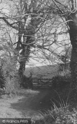 Cliff Path c.1950, Maidencombe