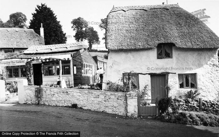 Photo of Maidencombe, Thatched Tavern c.1965