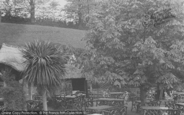 Photo of Maidencombe, The Tea Gardens c.1955