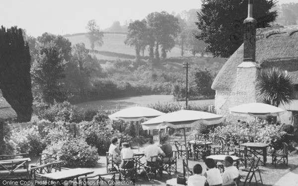 Photo of Maidencombe, The Thatched Tavern c.1965