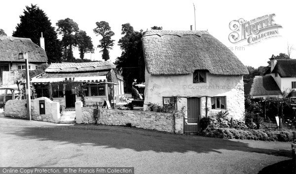 Photo of Maidencombe, The Thatched Tavern c.1965
