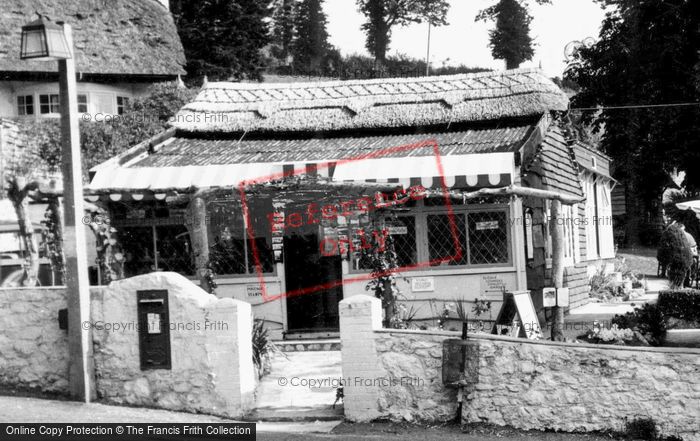 Photo of Maidencombe, The Thatched Tavern c.1965