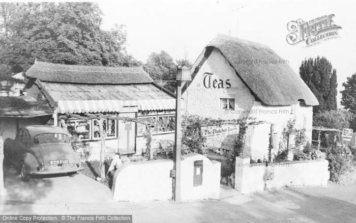 Photo of Maidencombe, The Thatched Tavern c.1965