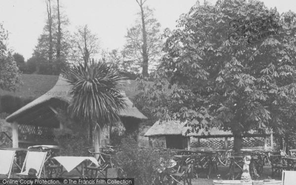 Photo of Maidencombe, The Thatched Tavern Tea Gardens c.1955