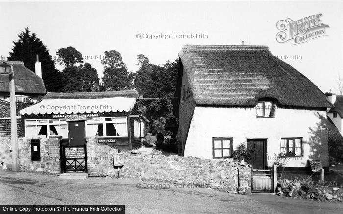 Photo of Maidencombe, The Thatched Tavern Tea Gardens c.1960