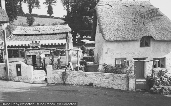 Photo of Maidencombe, The Thatched Tavern Tea Gardens c.1965