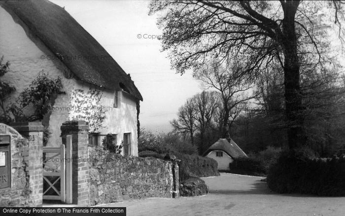 Photo of Maidencombe, Whitewash And Thatch c.1950