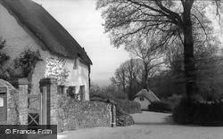 Whitewash And Thatch c.1950, Maidencombe