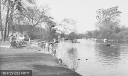 The River From Bridge Gardens c.1955, Maidenhead