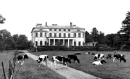 Mote House c.1955, Maidstone