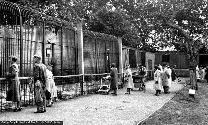 Maidstone, Zoo Park c1955