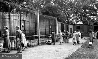 Maidstone, Zoo Park c1955